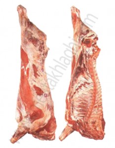 پخش گوشت و مواد غذایی اخلاقی