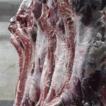 گوشت لاشه گوساله